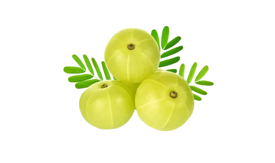 AMLA