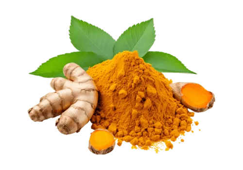 TURMERIC