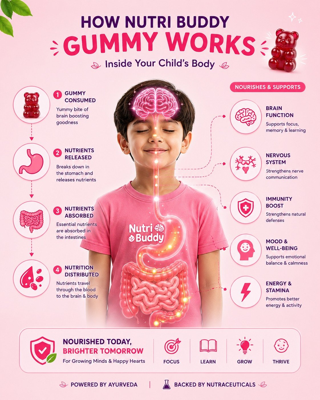 Brain Booster Gummies